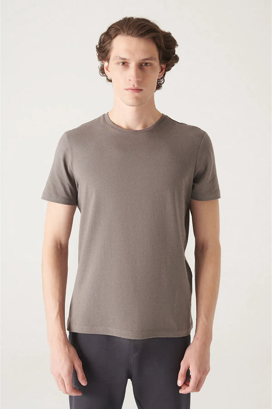 Avva Men's Anthracite 100% Cotton Breathable Crew Neck Standard Fit Regular Cut T-shirt