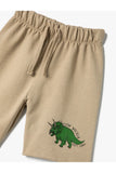 Cotton Boy's with Tie Waist Dinosaur Print Detail Shorts
