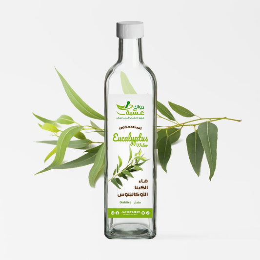 Dawek Echbi Eucalyptus Water - Distilled مقطر ورق الكينا