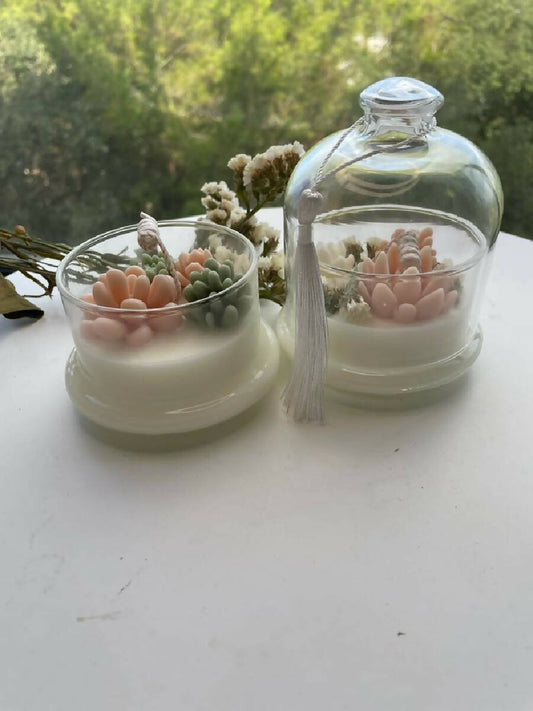 Reineshop Scented Candle Cactus Jar