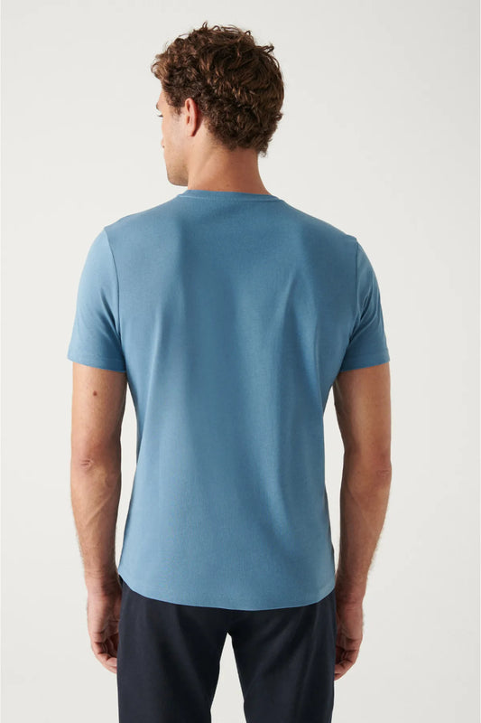 Avva Men's Blue 100% Cotton Breathable Crew Neck Standard Fit Regular Cut T-shirt