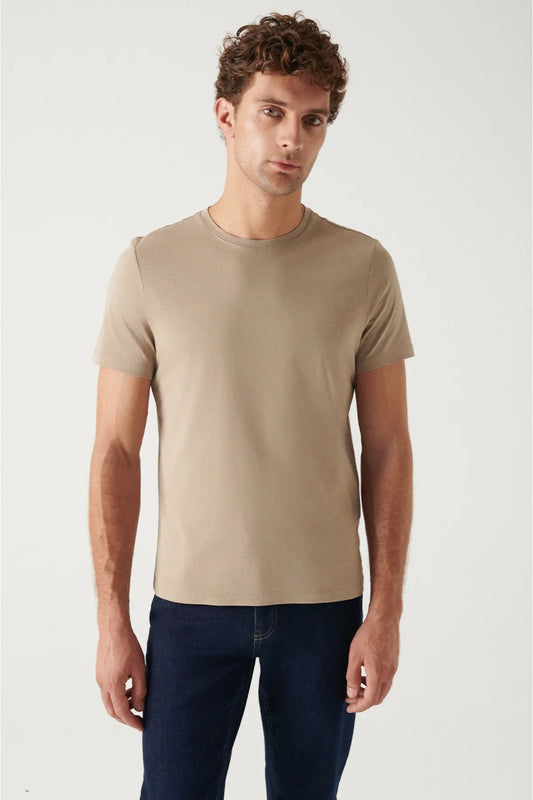 Avva Men's Mink 100% Cotton Breathable Crew Neck Standard Fit Regular Cut T-shirt