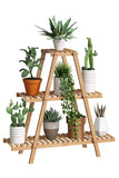 Severale Garden 2-Tier Decorative Stand and Shelf Flower Pot