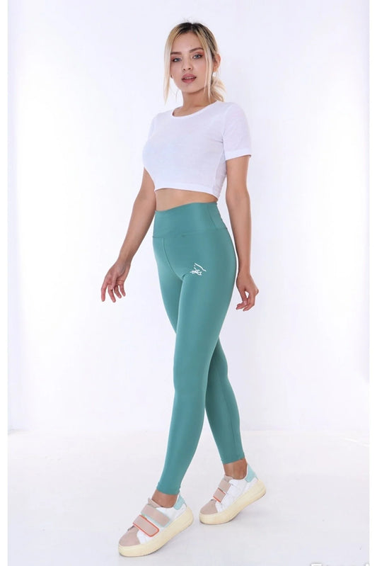Buzzard Women's High Waist Mint Green Long Tights Leggings