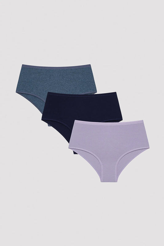 Penti Women's Indigo Night Multicolored 3-Piece High Waist Slip Panties