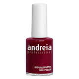 nail polish Andreia Nº 102 (14 ml)