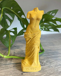 Thumbnail for Julyana Chehab Handmade Venus-Ready Deco 15 cm