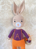 Handmade By Noha Handmade Crochet Rabbit Alex height 30cm weight 100 grame