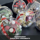 Karoun's Clear Christmas Ornaments