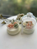 Reineshop Scented Candle Cactus Jar