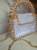 Lulua Stitches Handmade Royal Crystal Bag