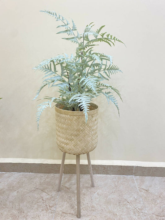 Massa Flowers Rattan Baskets With Base In Three Sizes